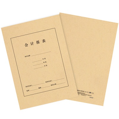 420*300mm会计报表封皮