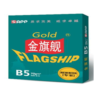 金旗舰 B5 70g复印纸（单包装500页）