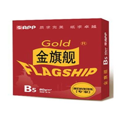 金旗舰 B5 80g复印纸（单包装500页）