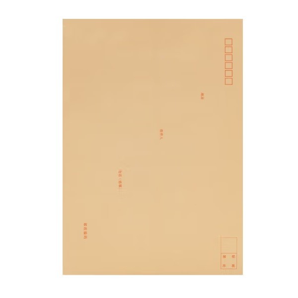 得力25201牛皮纸大信封 40个装 9号A4 229×324mm