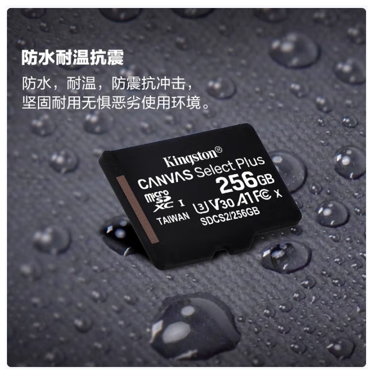 金士顿SDCS2/256GB TF（MicroSD）存储卡